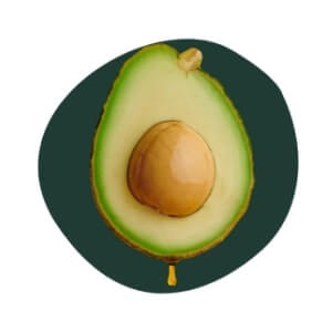 Avocado Oil