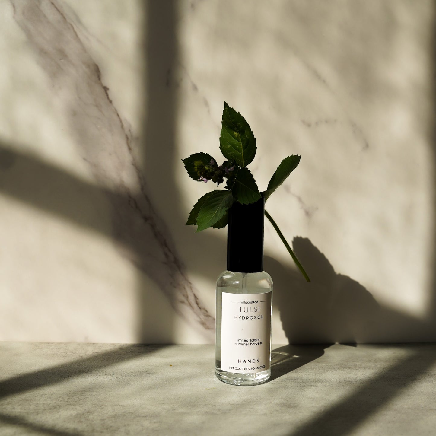 Wildcrafted Tulsi Hydrosol - Limited Edition