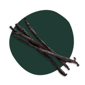 Vanilla