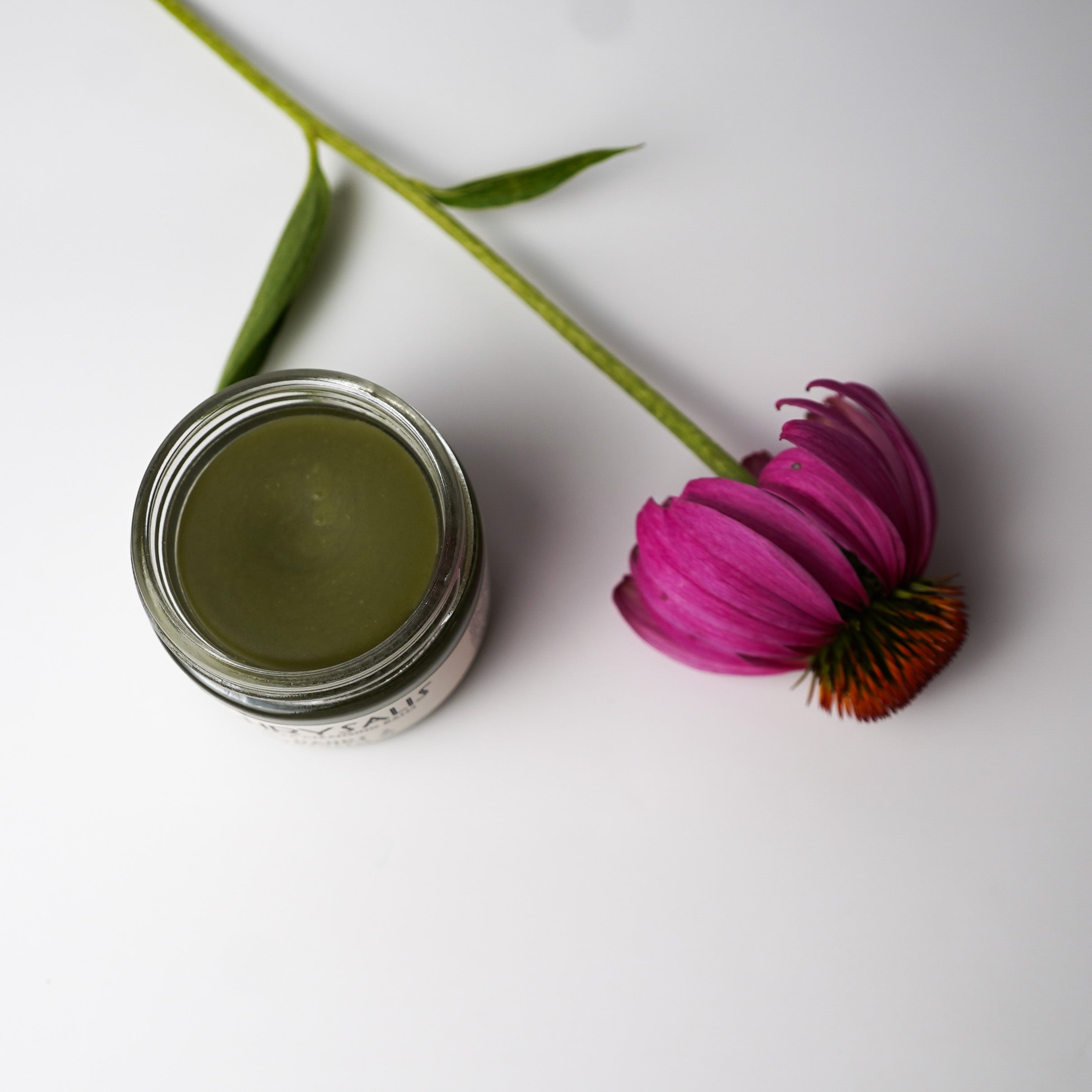 Chrysalis Echinacea Cleansing Balm