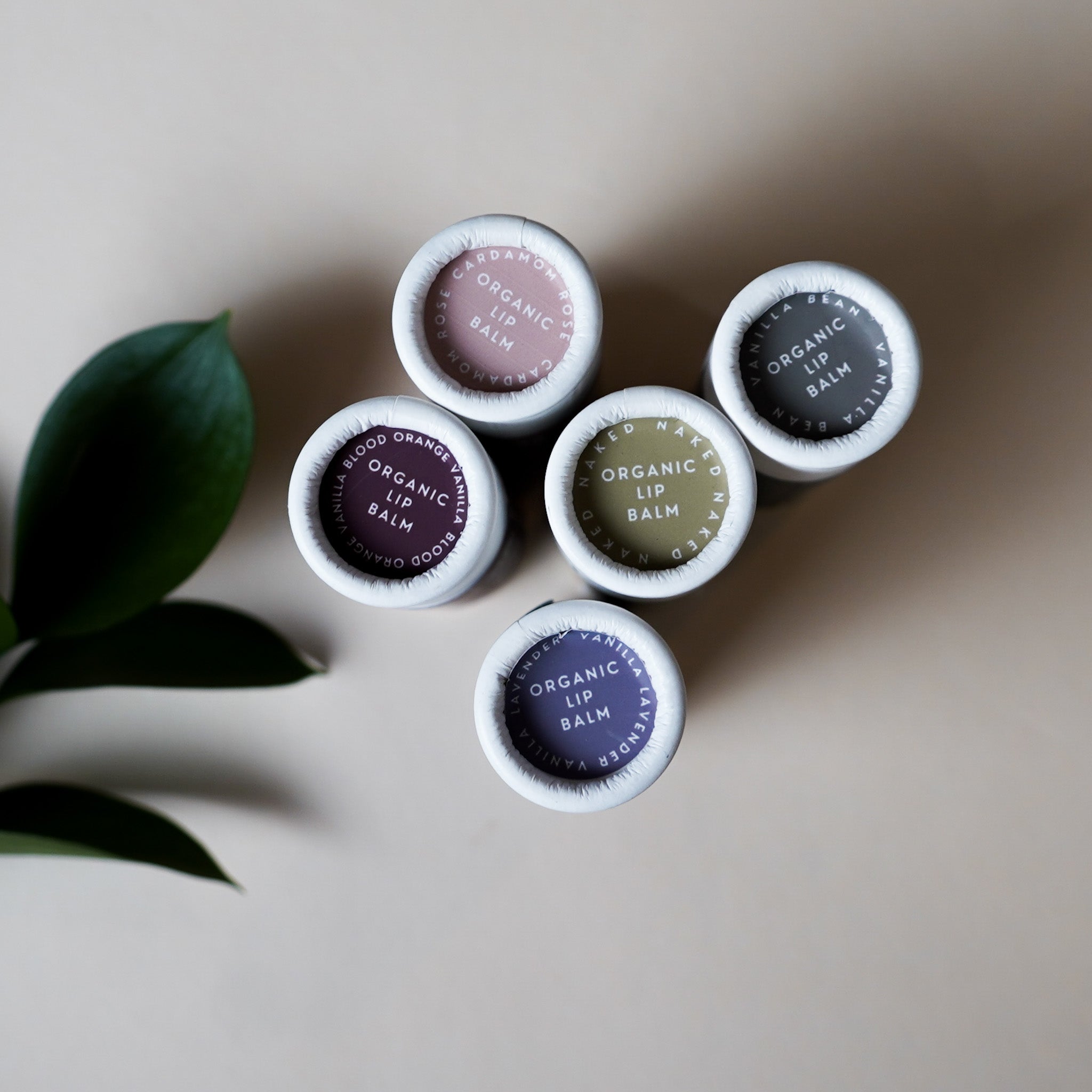 Organic Lip Balm