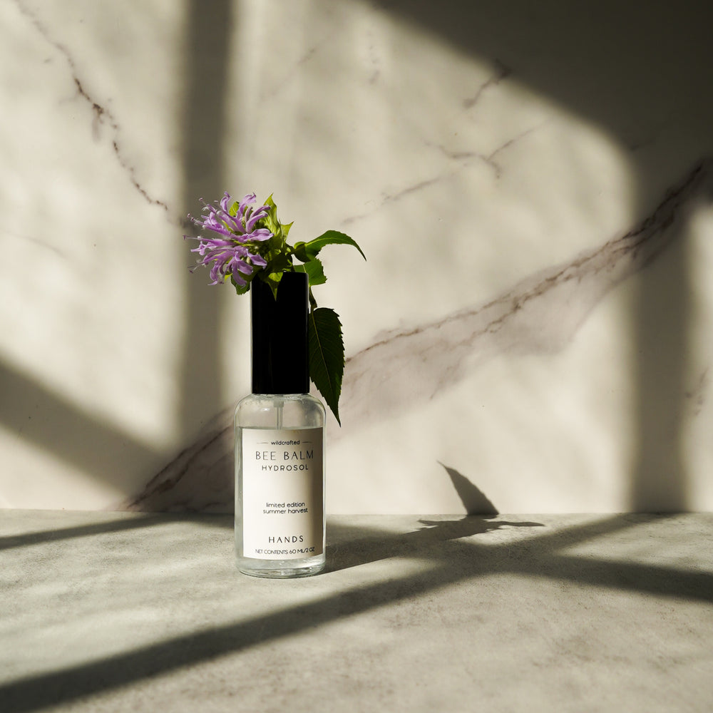 Wildcrafted Bee Balm Hydrosol - Limited Edition