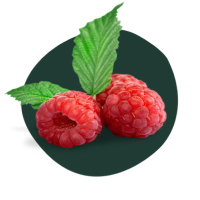 Raspberry