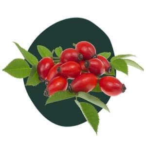 Rosehips